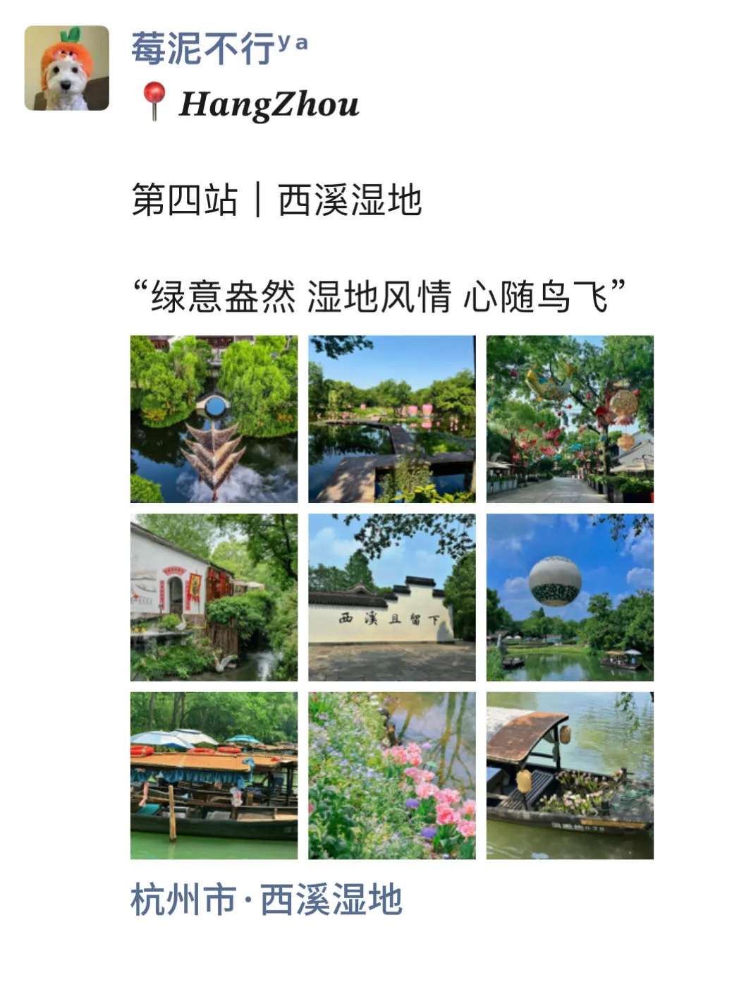 至于吗🥲这姐去杭州 发了15条朋友圈😳