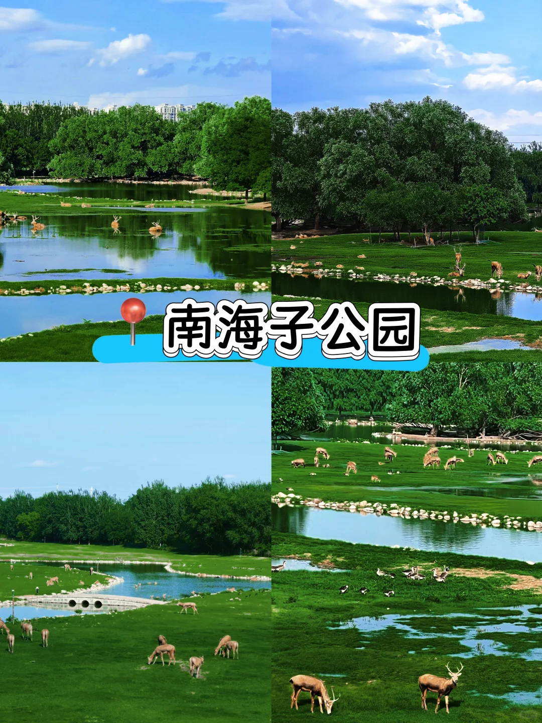 北京周末5个小众秘境｜治愈了我的精神内耗