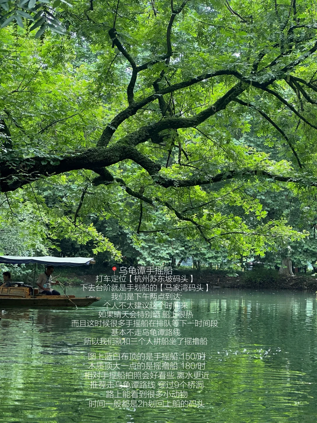 ：在杭州 淡人48h旅游攻略（附路线时间详细版