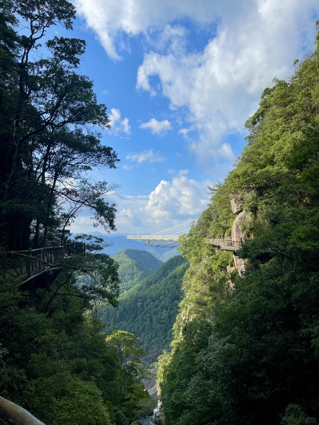 在福建！！在福建！！发现了现实版绿野仙踪🍃