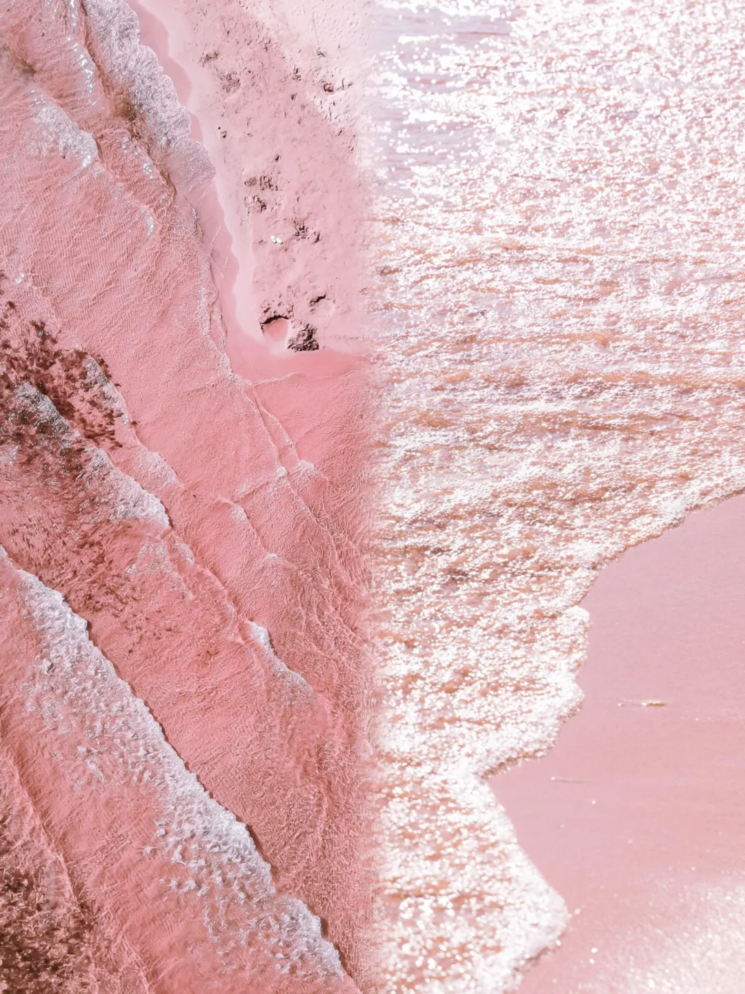 真的没有出国，只是到了国内唯一的粉红沙滩