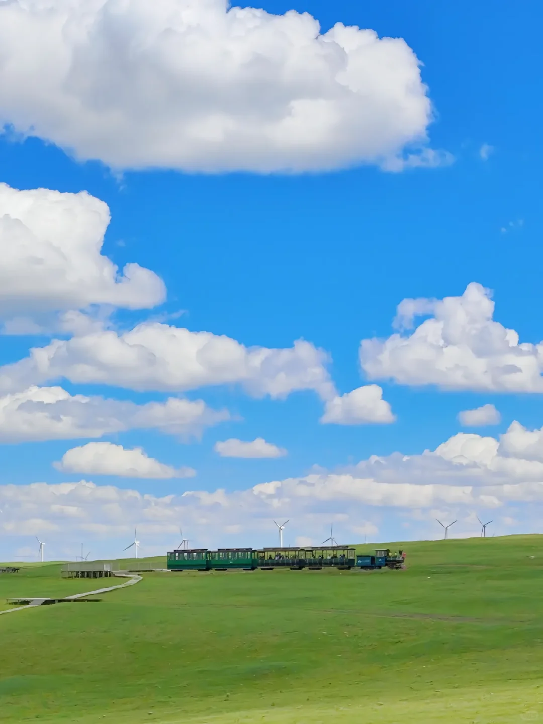 七月来乌兰察布旅游的小哥哥小姐姐们看过来