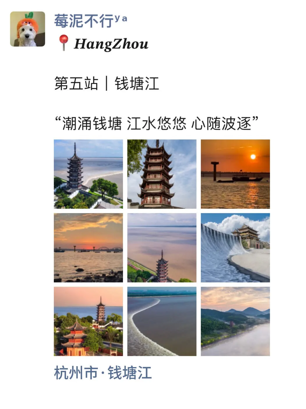 至于吗🥲这姐去杭州 发了15条朋友圈😳