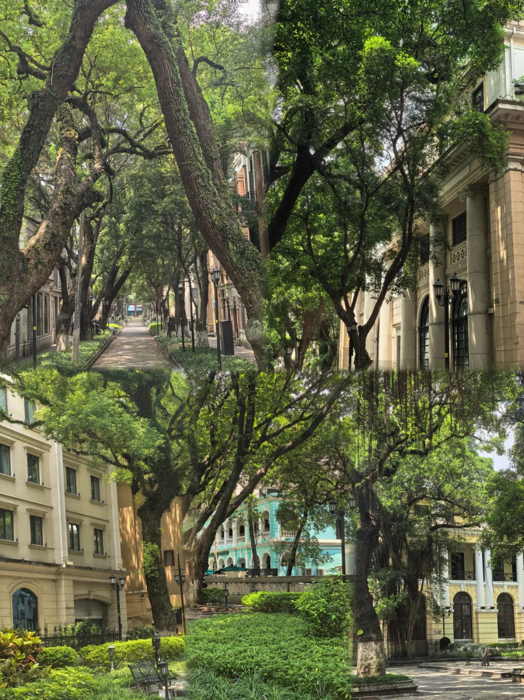 广州2天1晚｜女大带家人不赶路版旅游攻略！