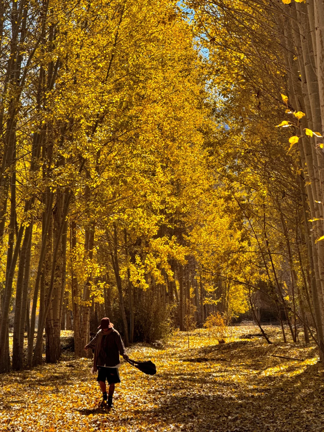 这就是我不买iphone16的意义………