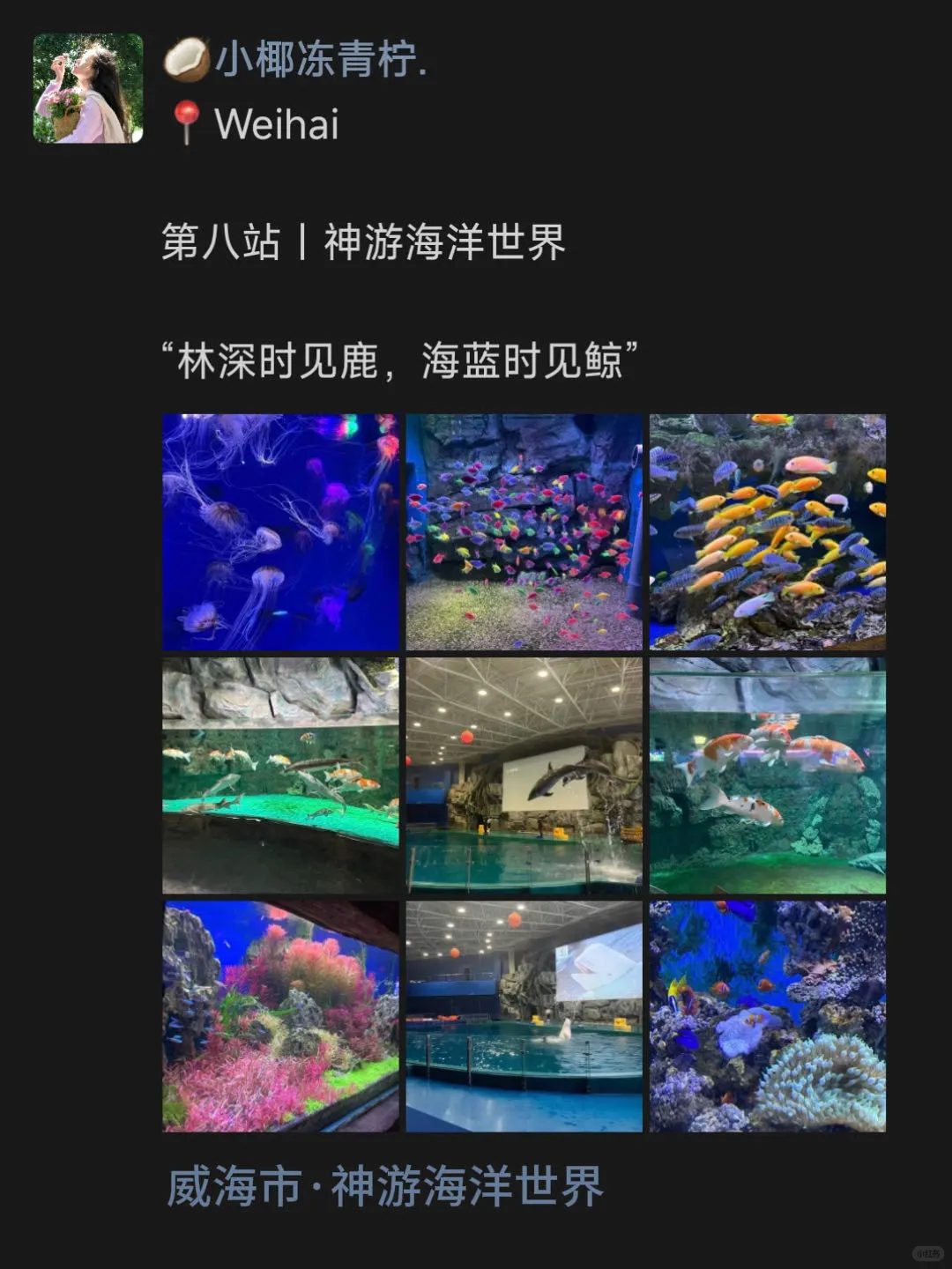 📍威海玩｜😎朋友圈这样发…