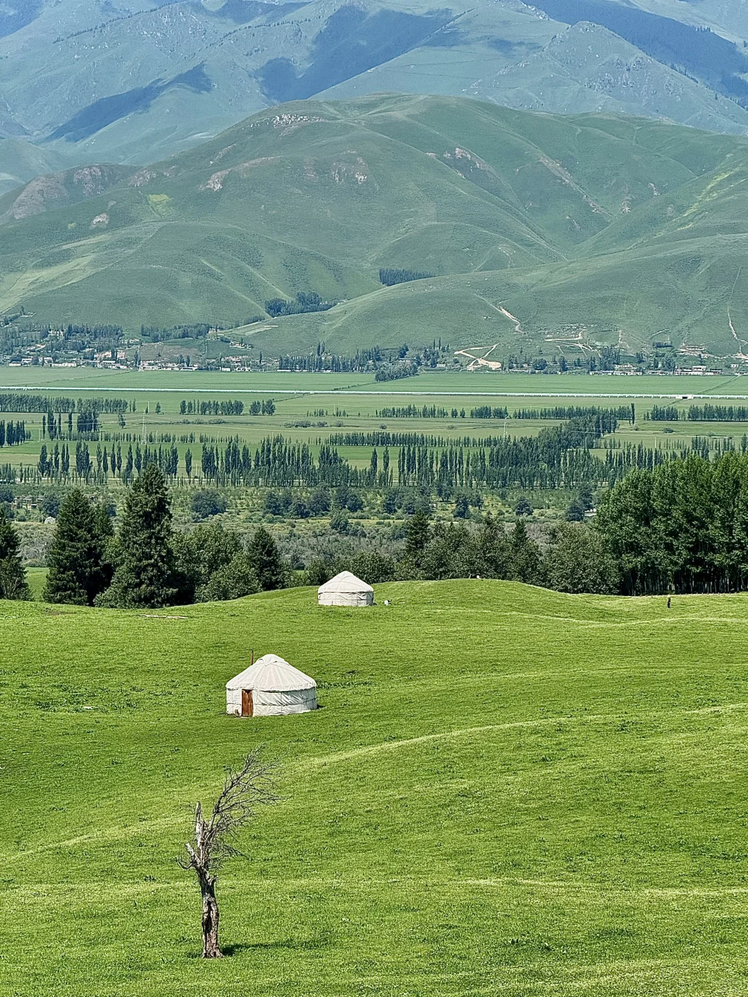 那拉提太美了🍃但是真的要做攻略…