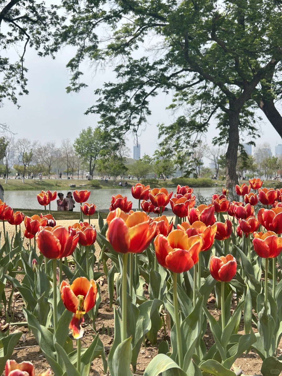 📍南京 l四天三晚旅游攻略👣👣请查收