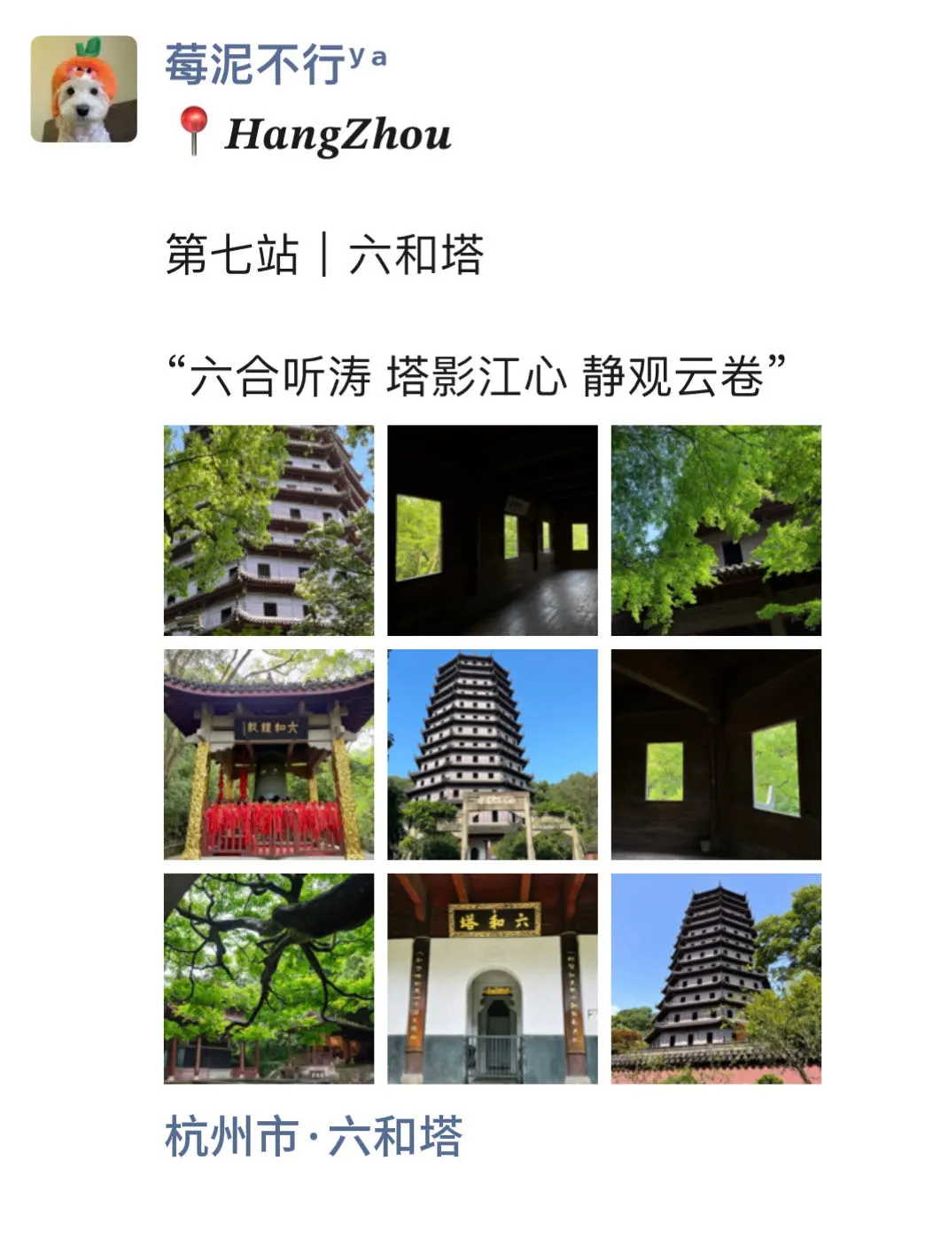 至于吗🥲这姐去杭州 发了15条朋友圈😳