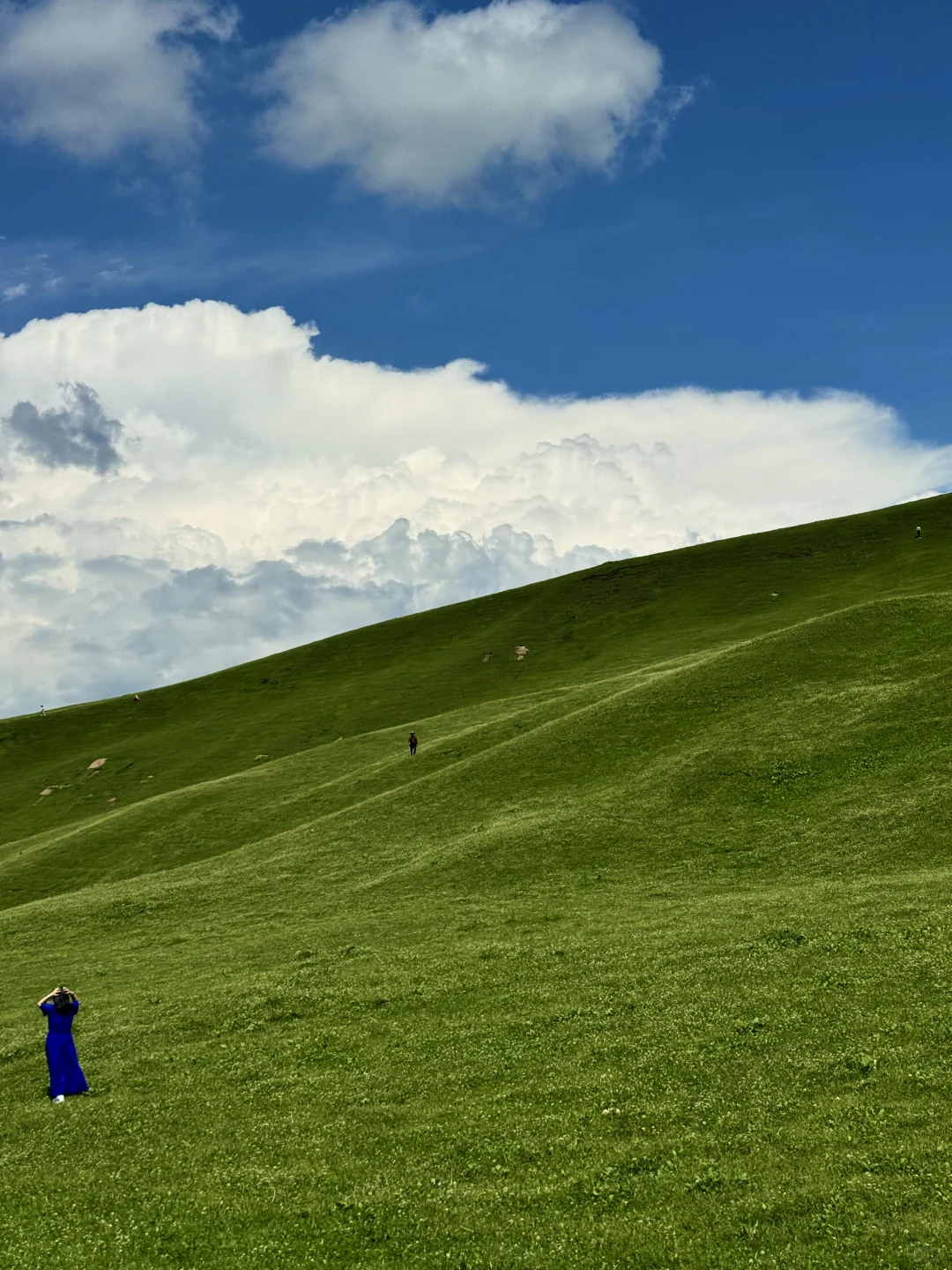 那拉提太美了🍃但是真的要做攻略…