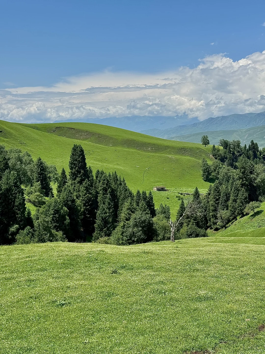 那拉提太美了🍃但是真的要做攻略…