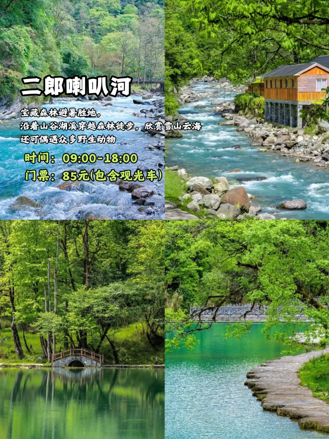 🌟雅安宝藏游|这10个景点错过会后悔！