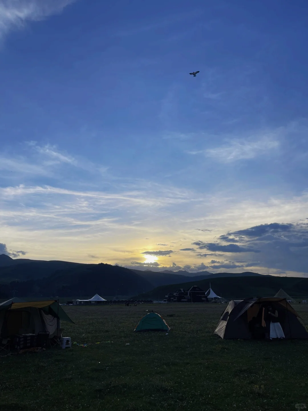 鲜为人知的旅游目的地之道孚县龙灯牧场