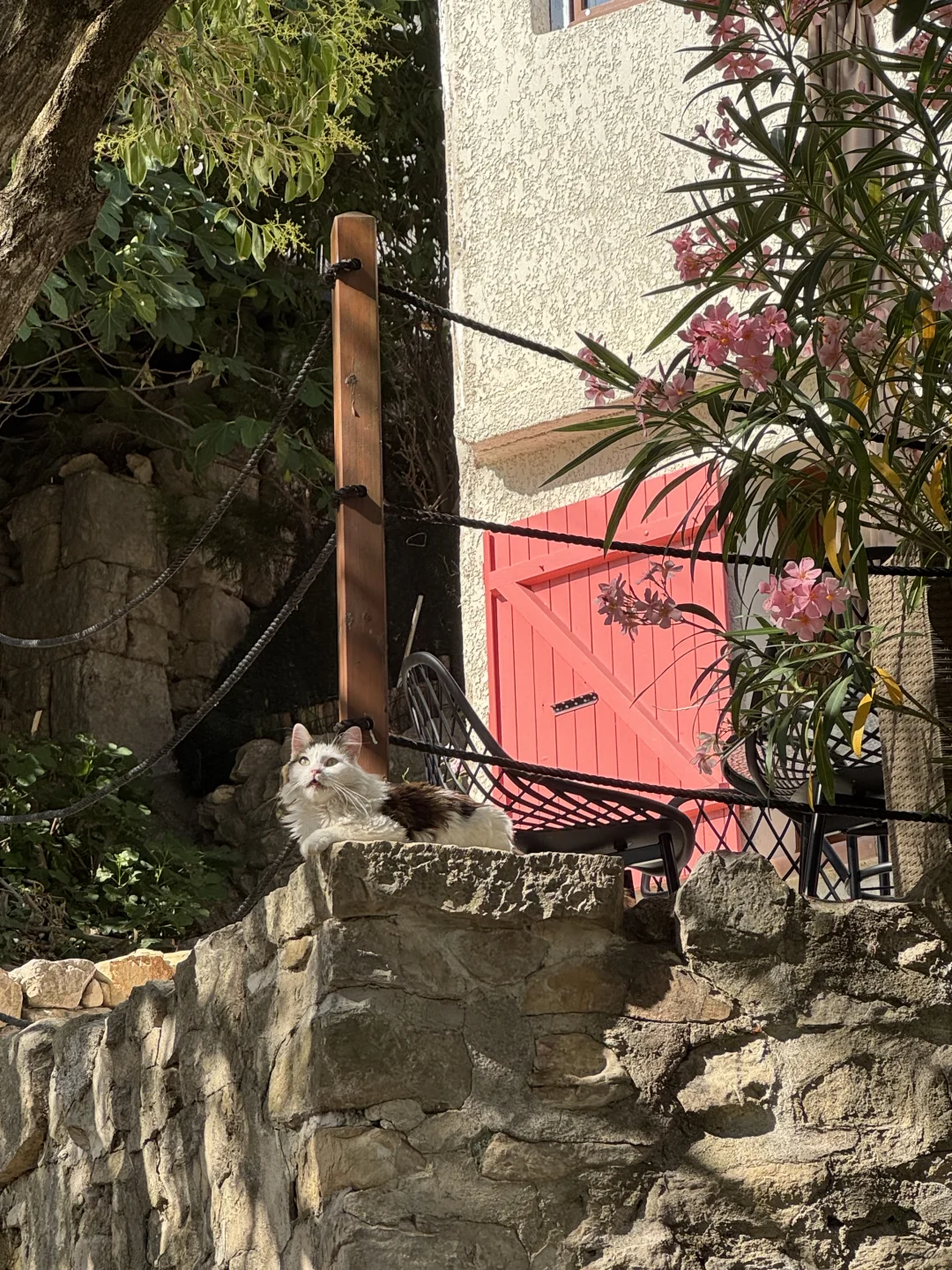 为啥我觉得用小红书查欧洲旅游攻略越看越乱