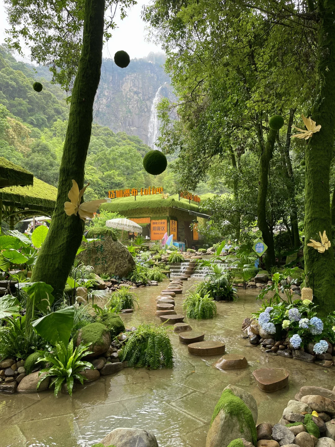 在福建！！在福建！！发现了现实版绿野仙踪🍃