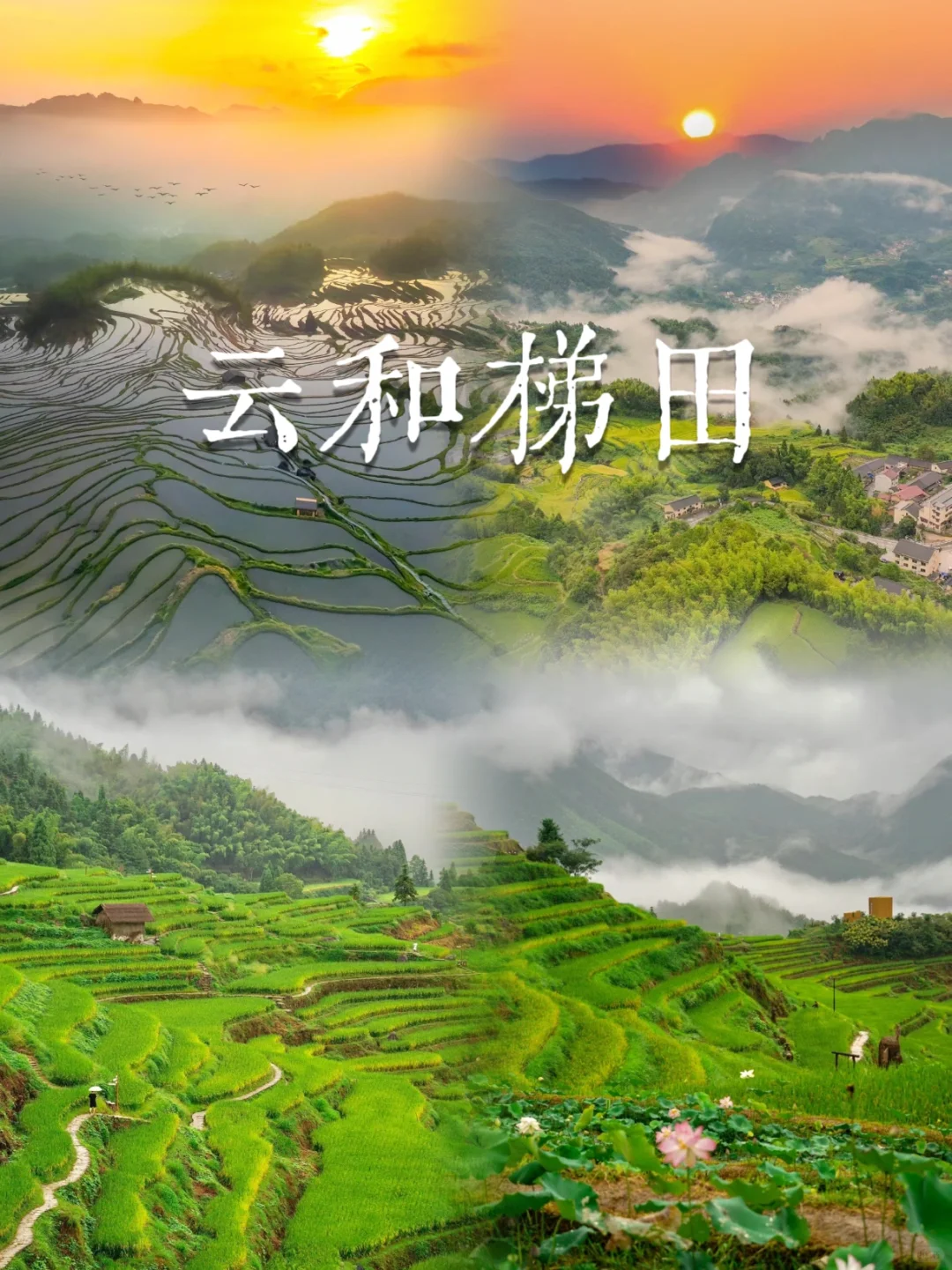 此生要去的100个地方之丽水篇🌈