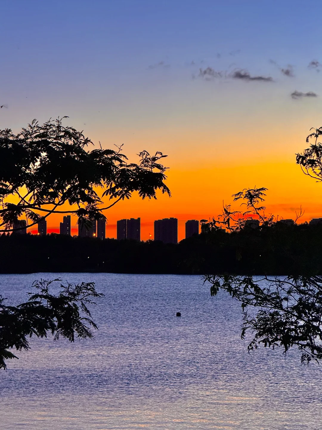 没去园林❗️苏州这些地方免费还好拍（附位置）