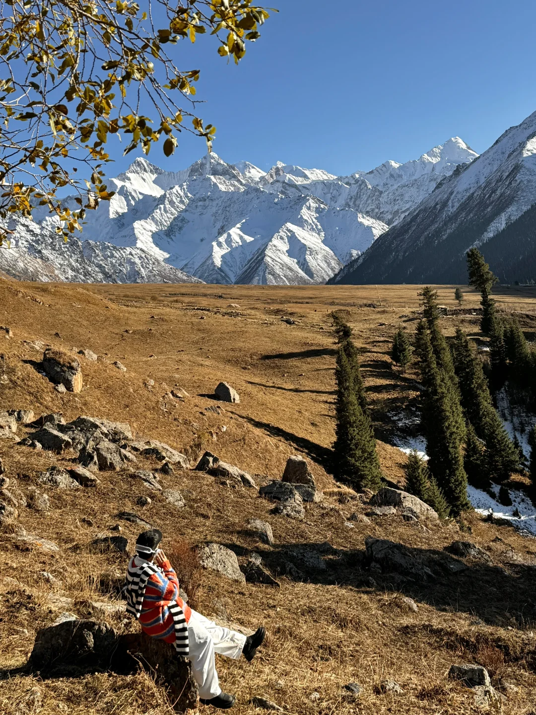 这就是我不买iphone16的意义………