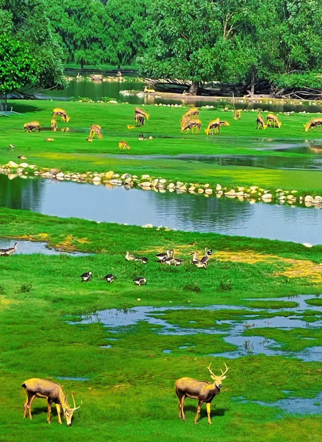 北京周末5个小众秘境｜治愈了我的精神内耗