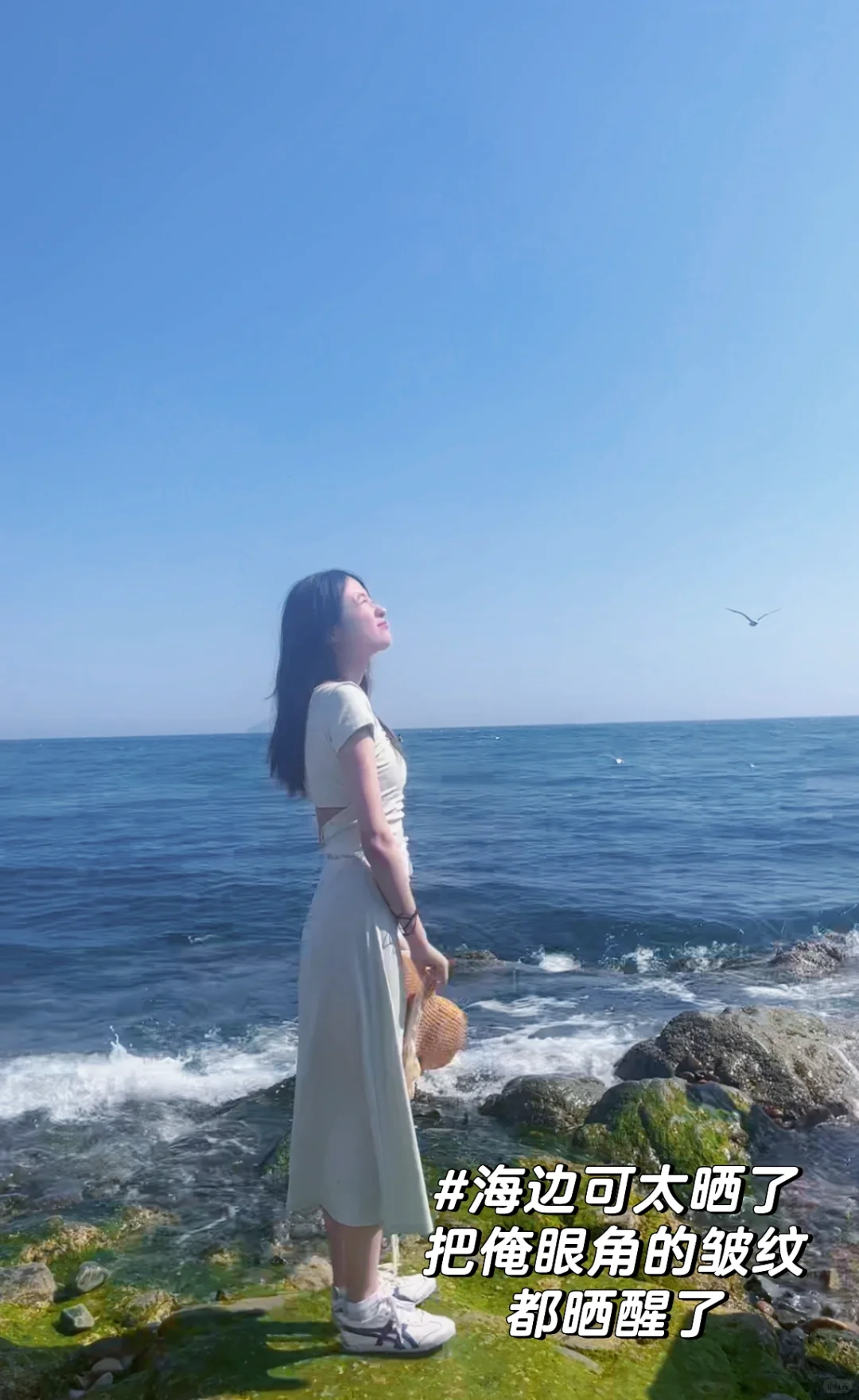 拿去抄 | Infj做的大连旅行攻略