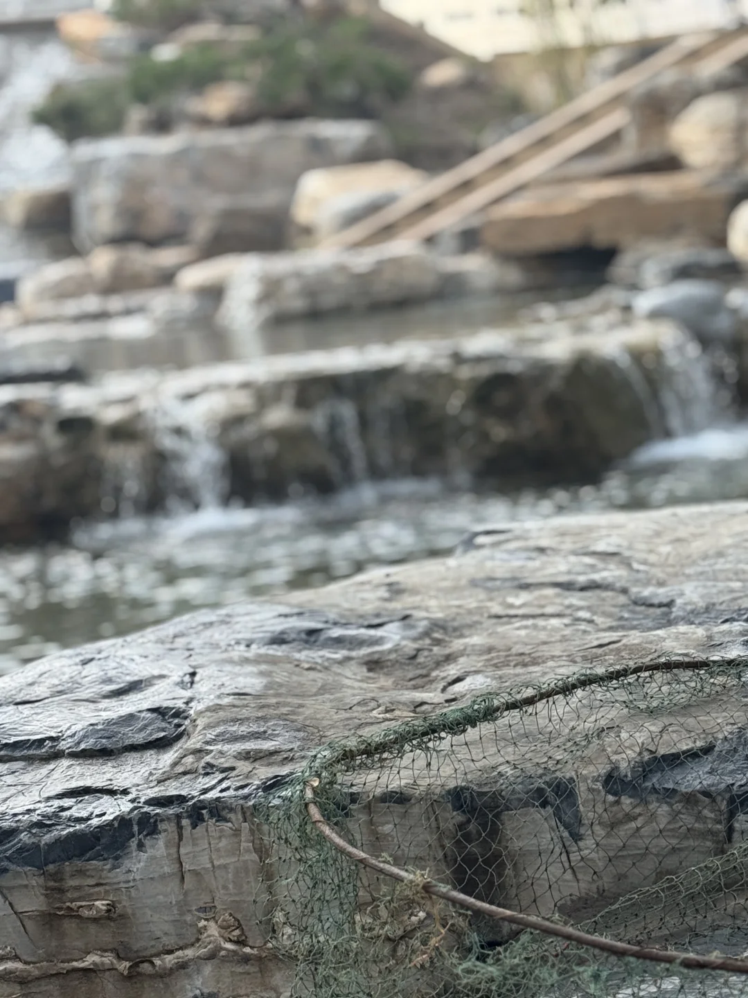 蒙山圣境，太惊艳了！这份攻略收藏好哦