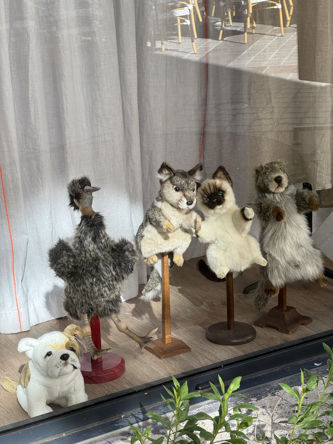 为啥我觉得用小红书查欧洲旅游攻略越看越乱