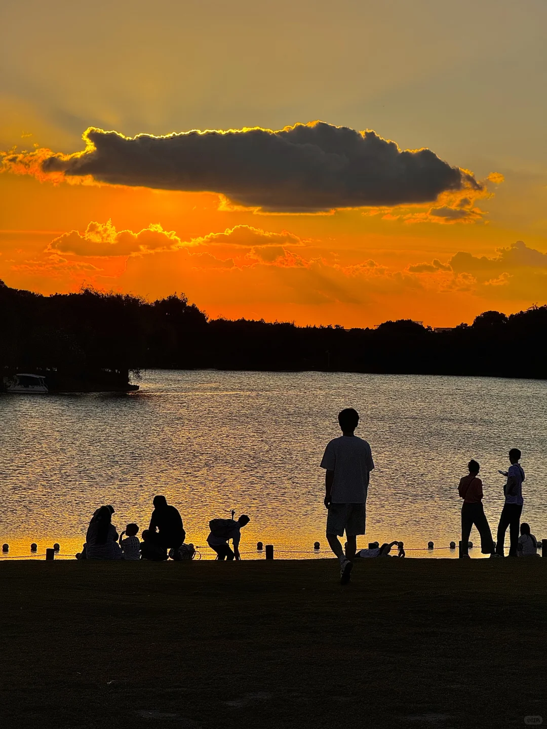 没去园林❗️苏州这些地方免费还好拍（附位置）