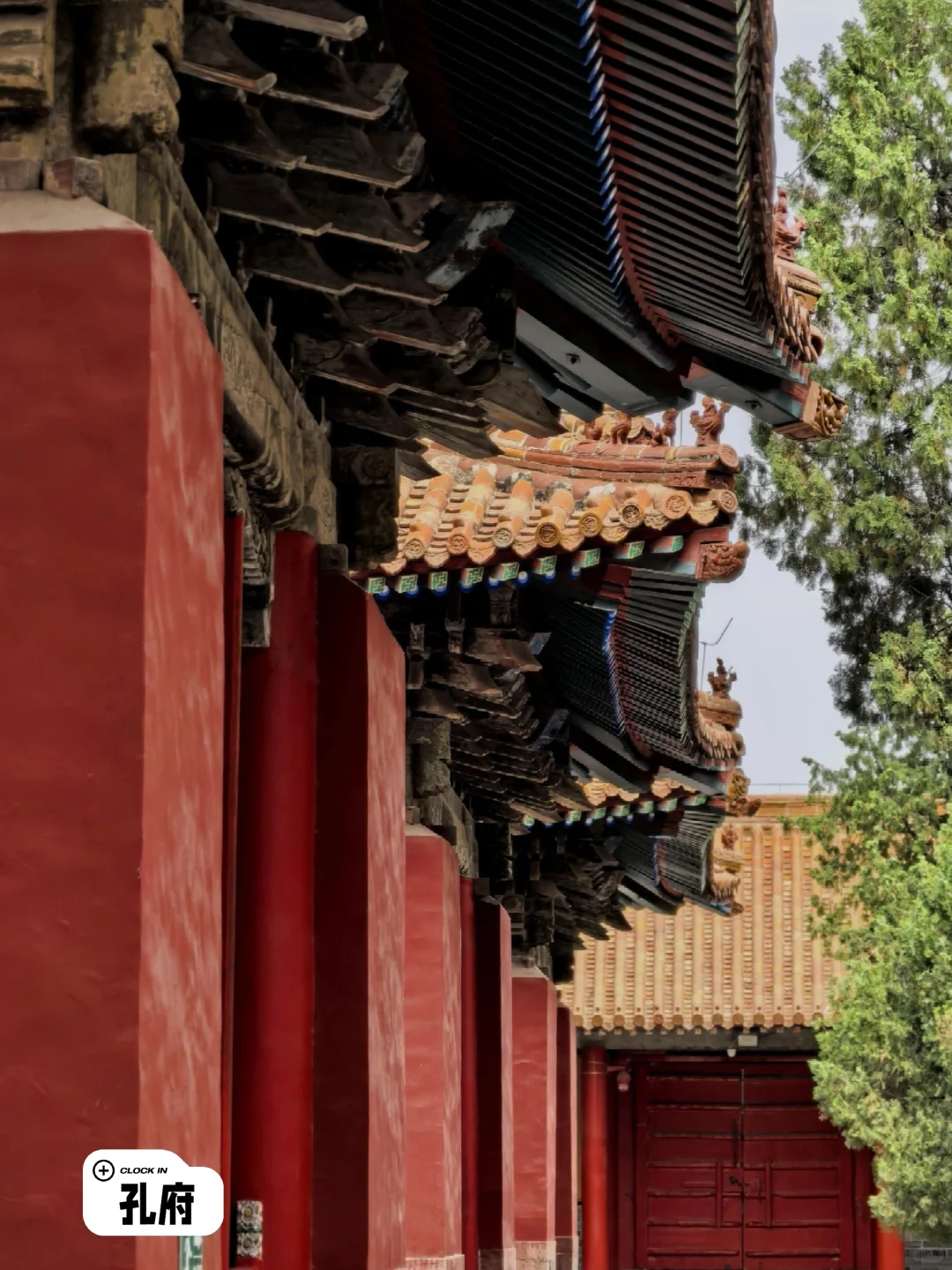 曲阜三大旅行地标超全PK！选对地方不踩雷