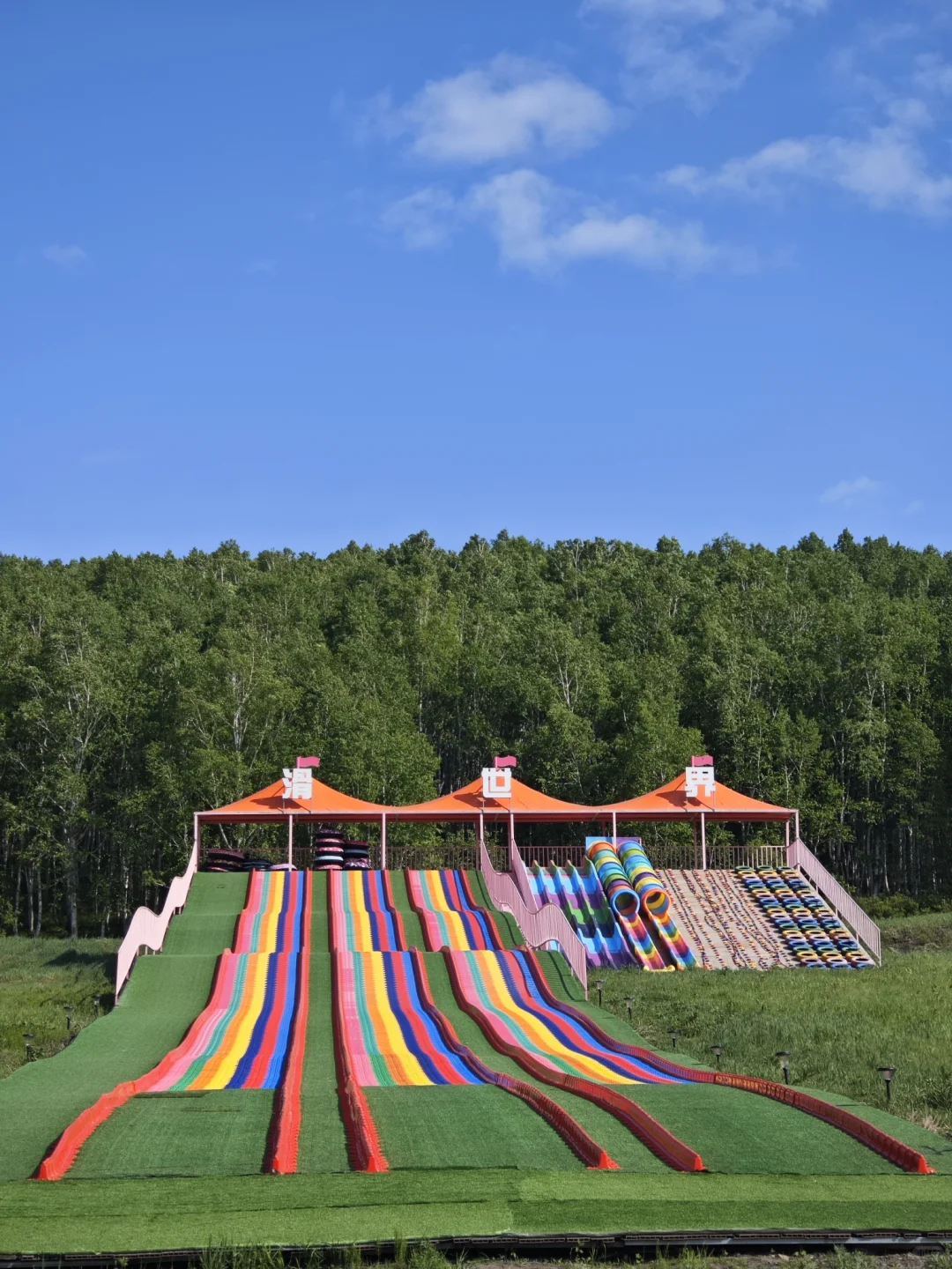 宫崎骏的夏天，谁不向往？不想回去了🤩