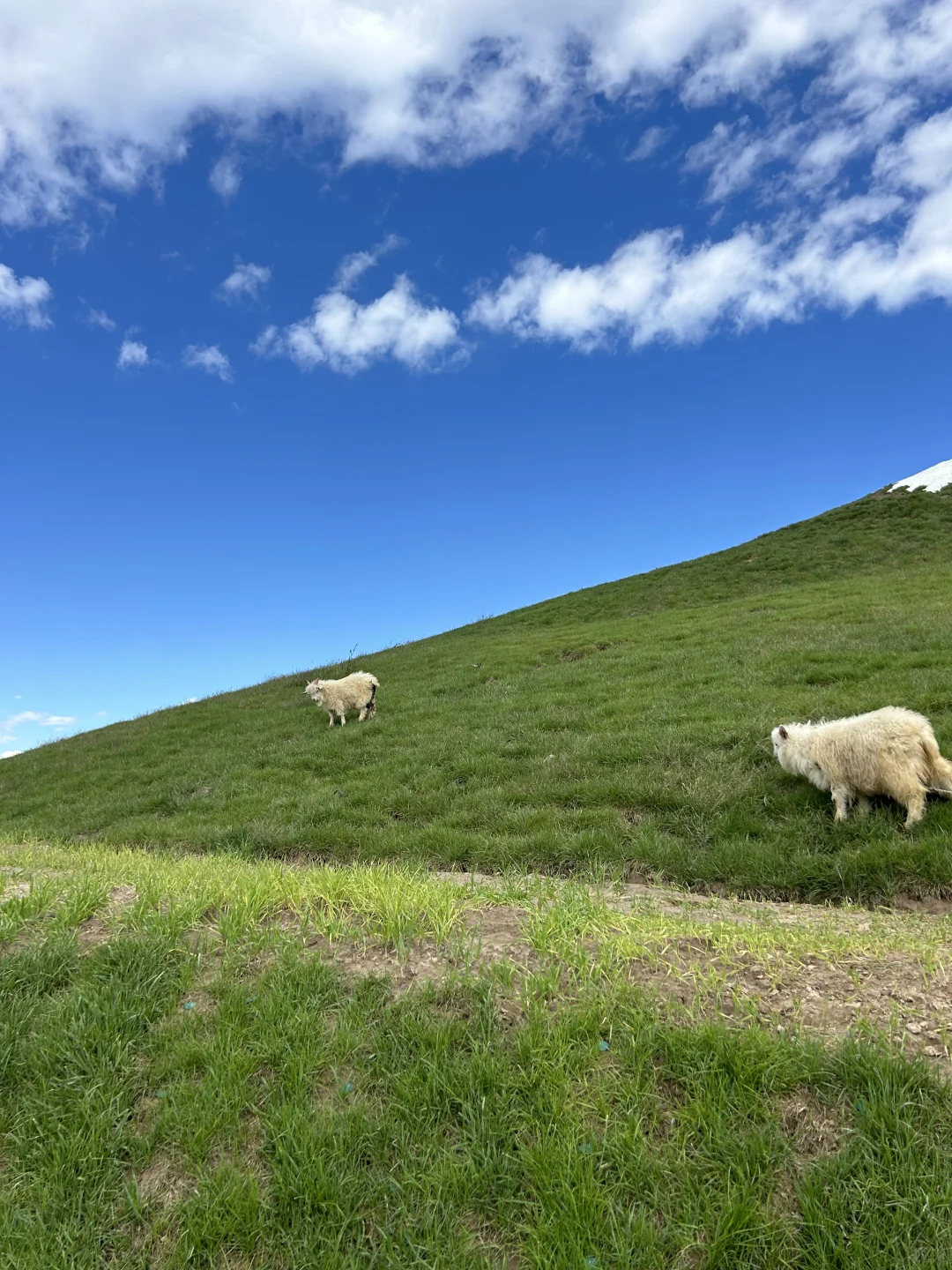 像动漫一样！活火山喷发！