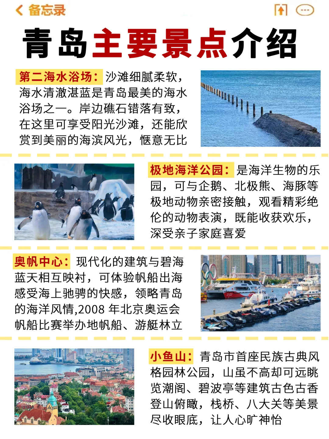 青岛预约攻略💯主打省心省时又省力