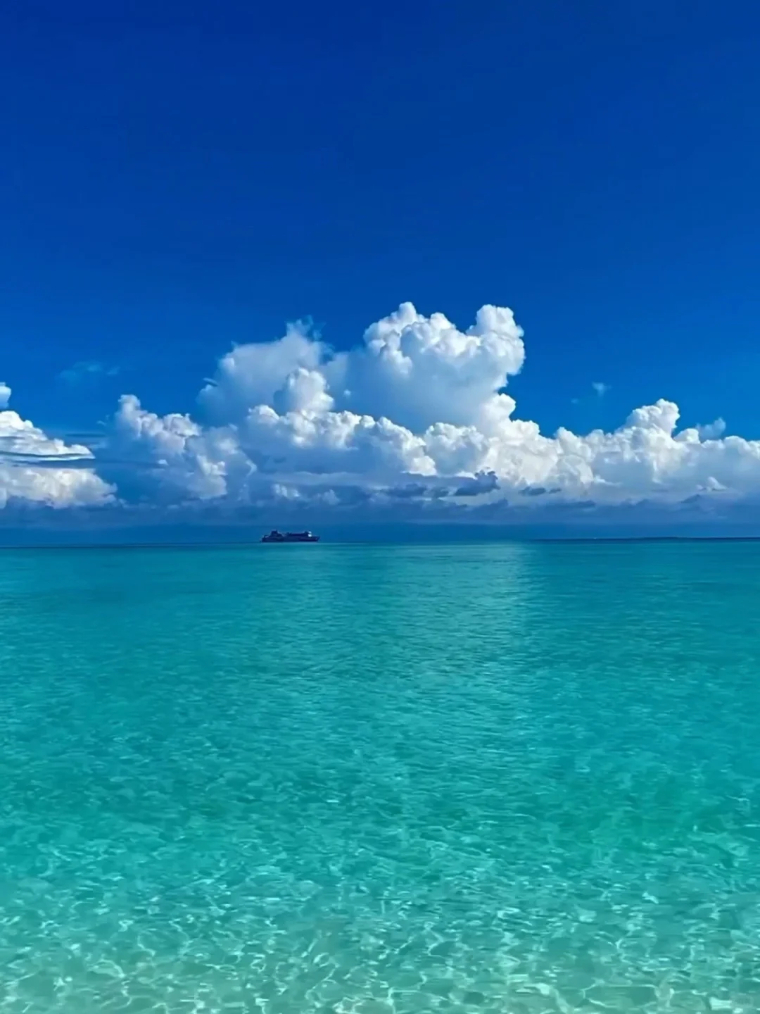 外国朋友请回避🇨🇳Only Chinese can reach