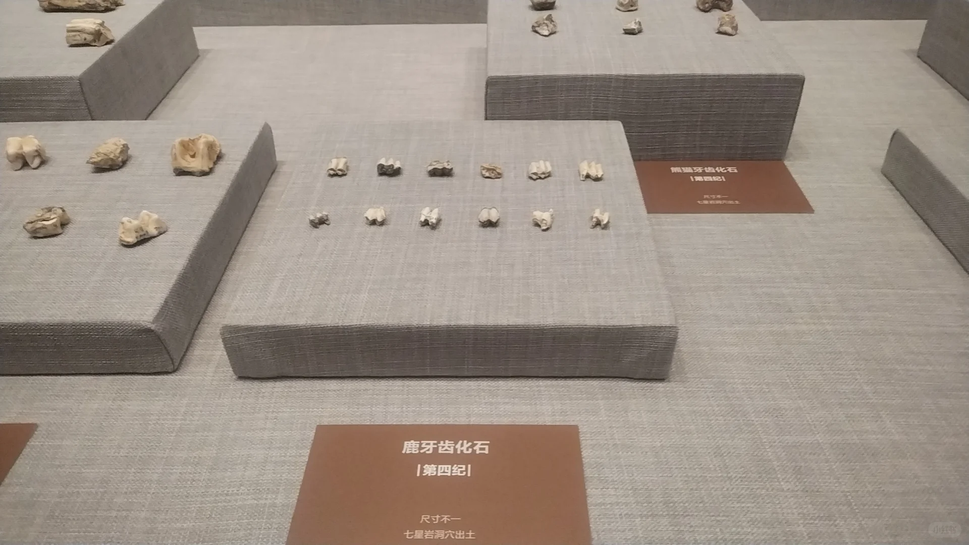 📍肇庆𝘾𝙞𝙩𝙮𝙬𝙖𝙡𝙠