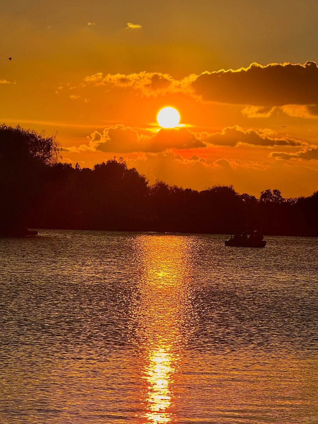 没去园林❗️苏州这些地方免费还好拍（附位置）