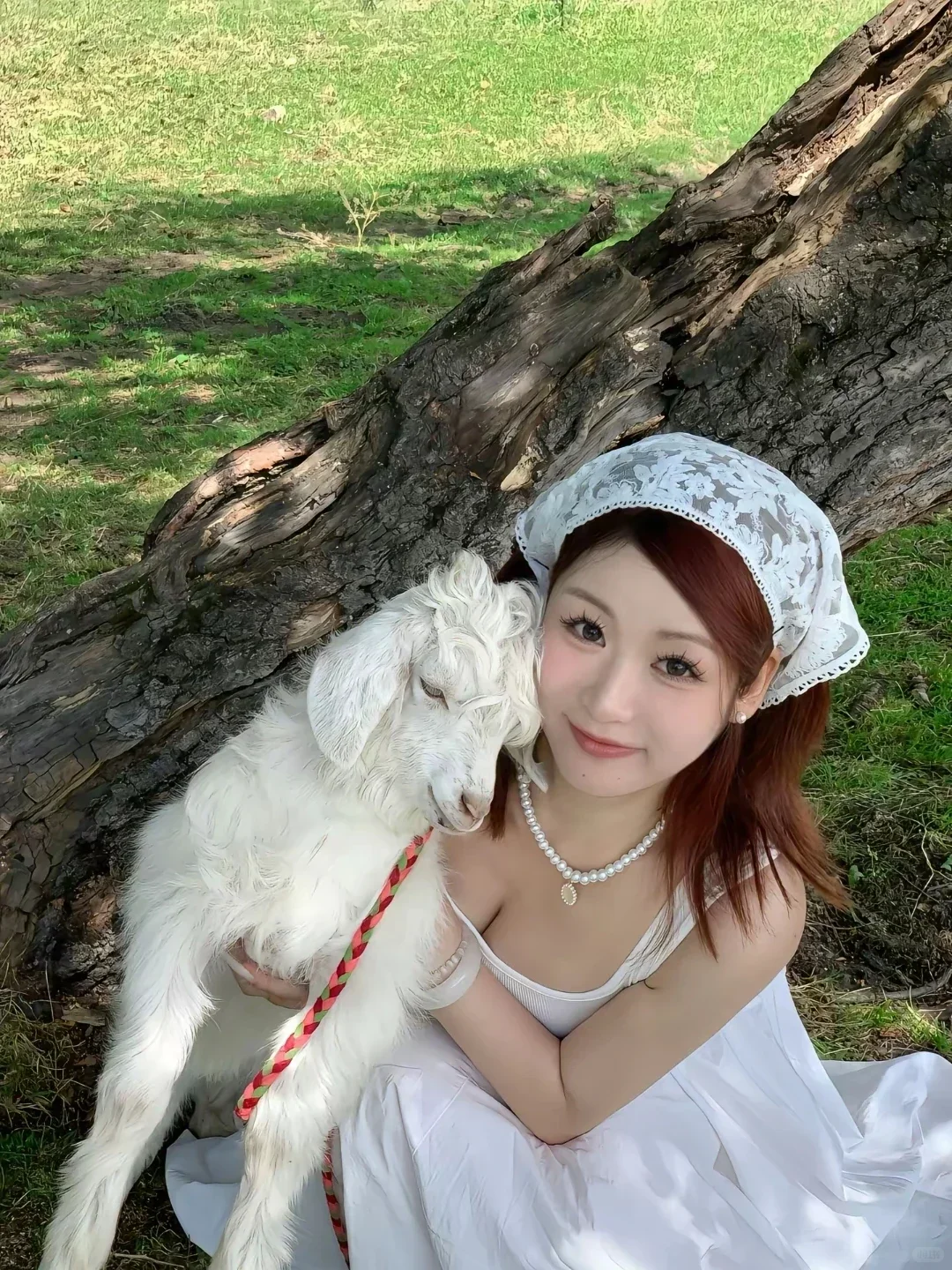 带同事去报了个新疆纯玩团被惊艳到了（无广