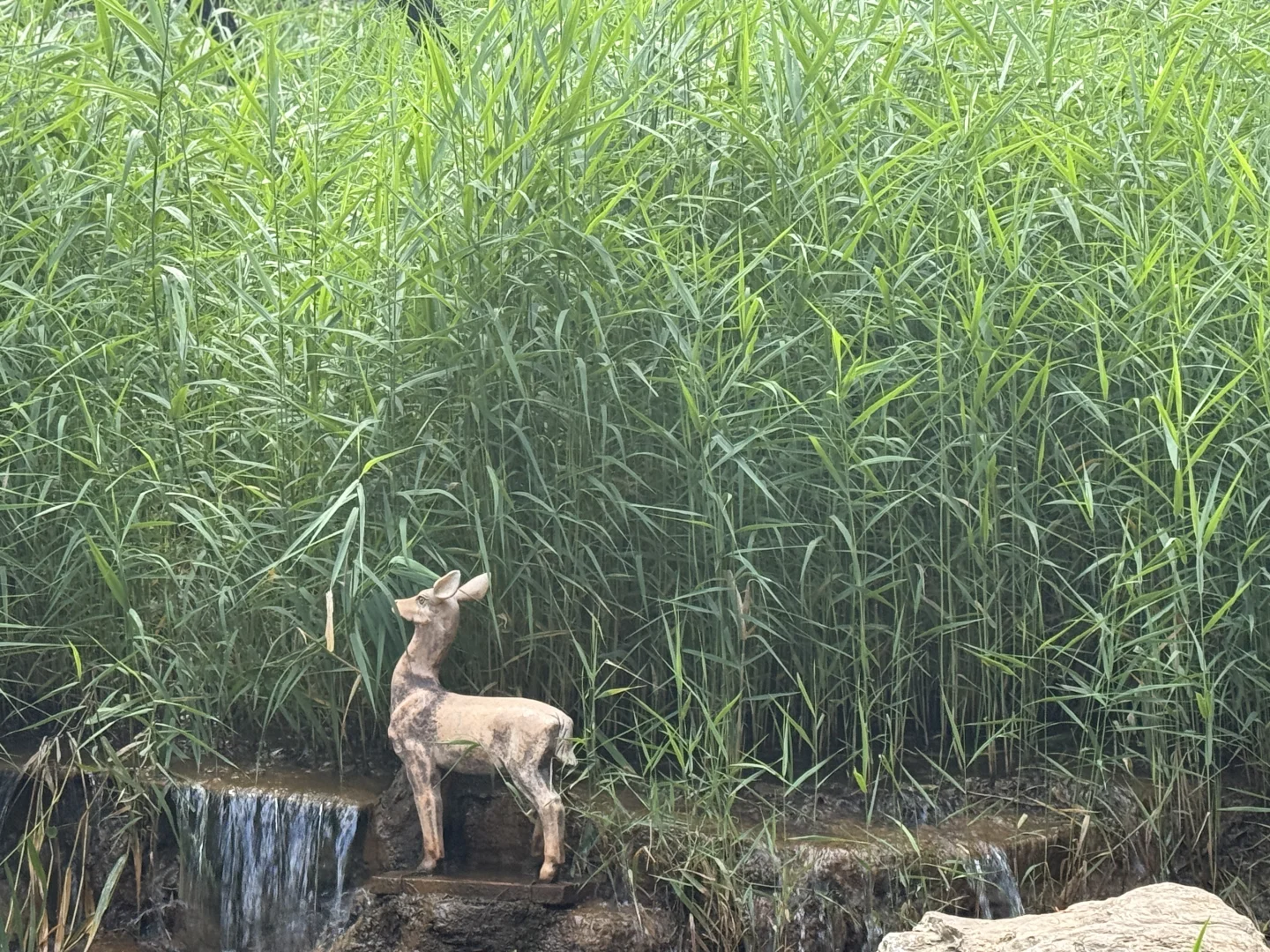 蒙山圣境，太惊艳了！这份攻略收藏好哦