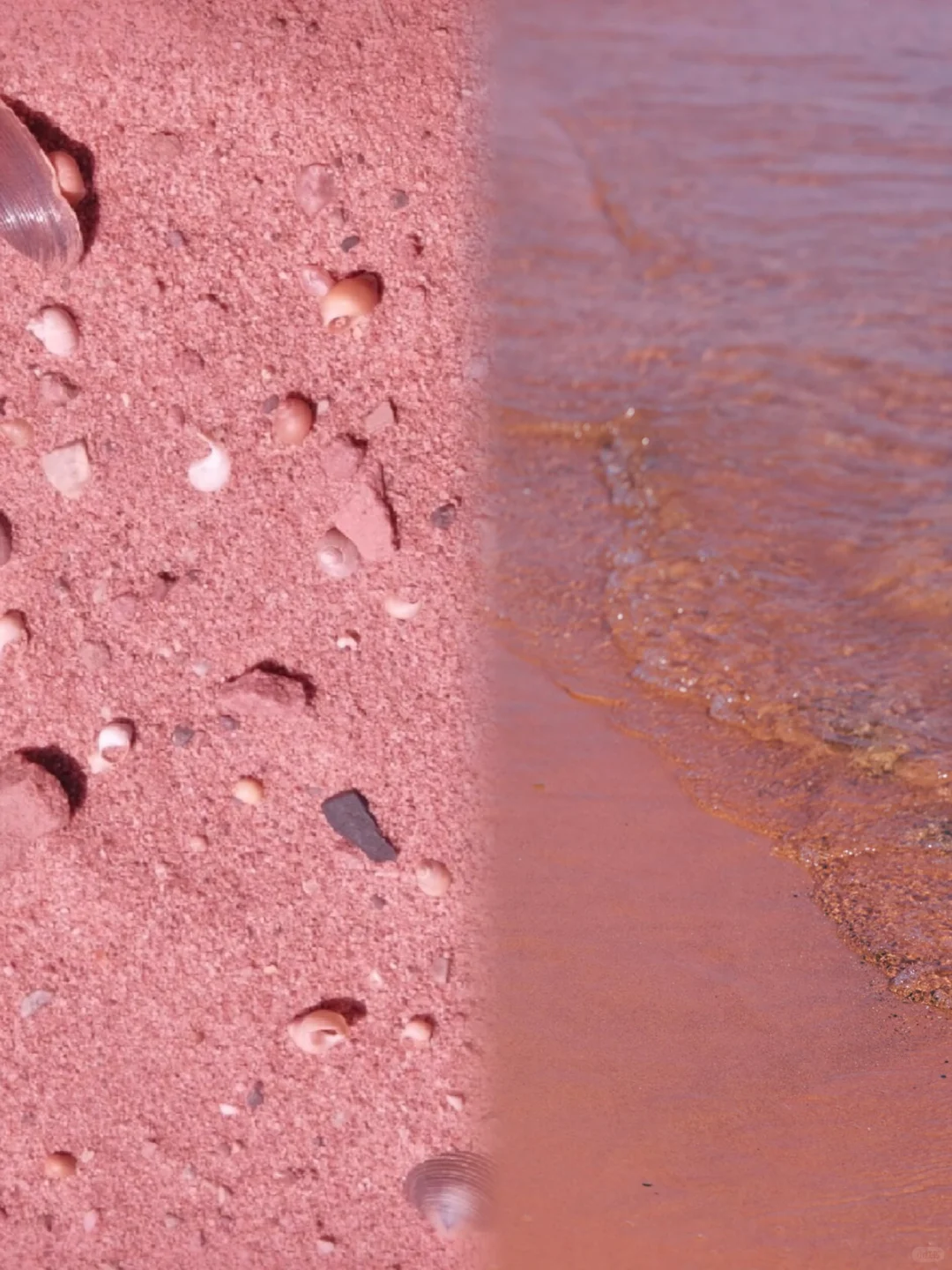 真的没有出国，只是到了国内唯一的粉红沙滩