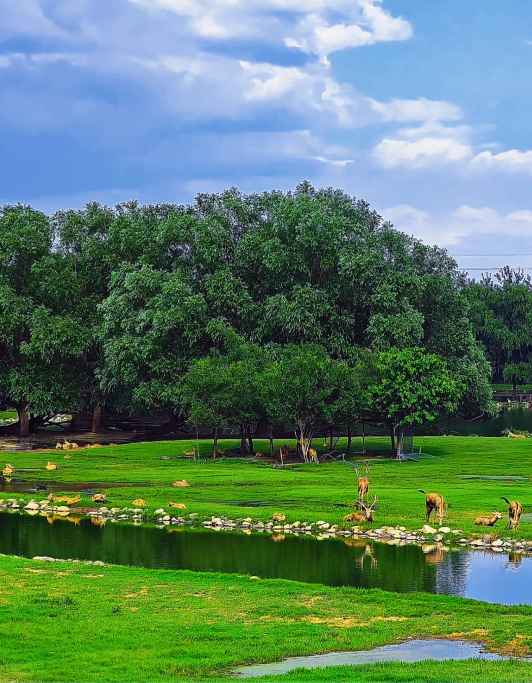 北京周末5个小众秘境｜治愈了我的精神内耗