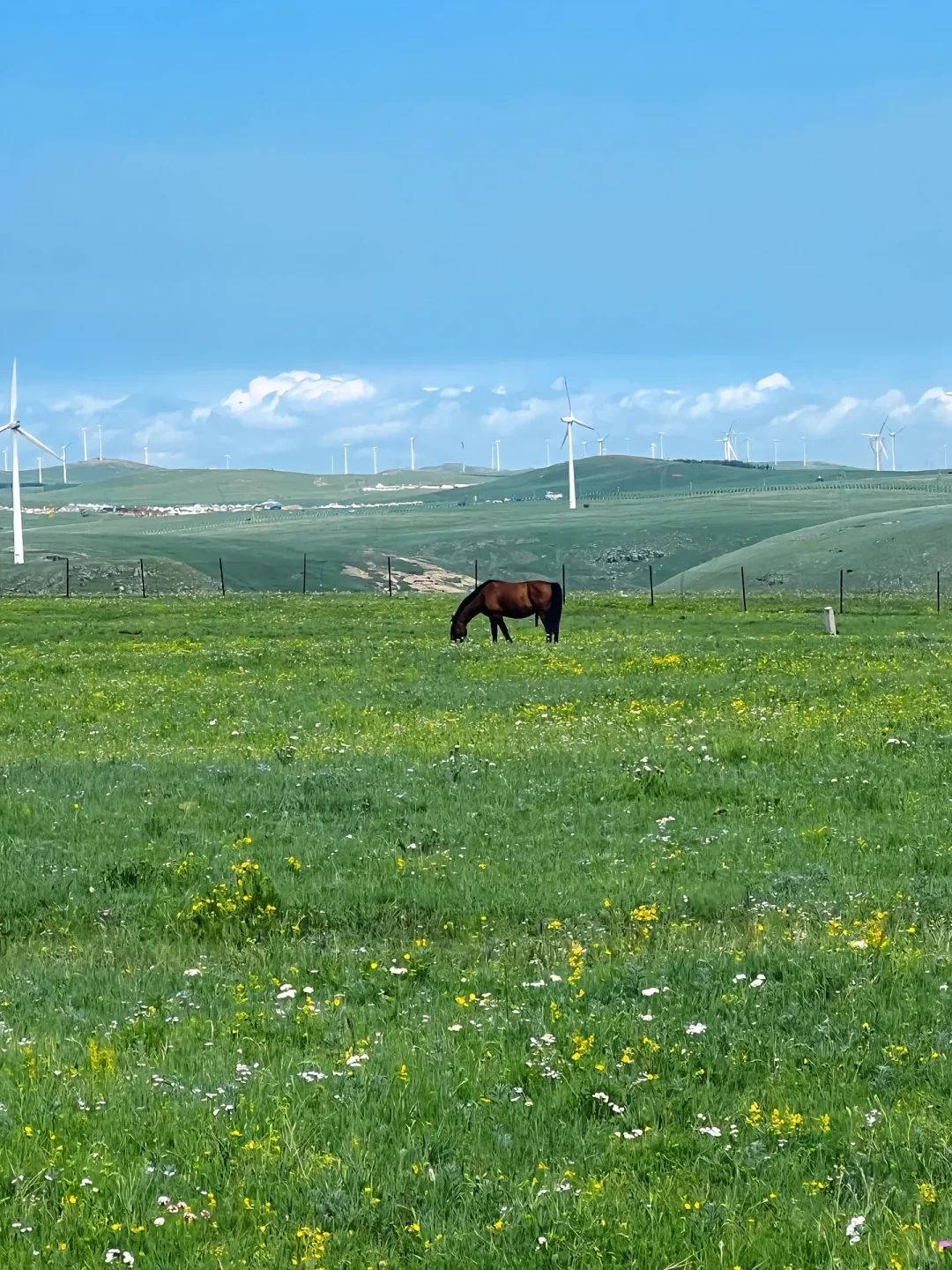 七月来乌兰察布旅游的小哥哥小姐姐们看过来