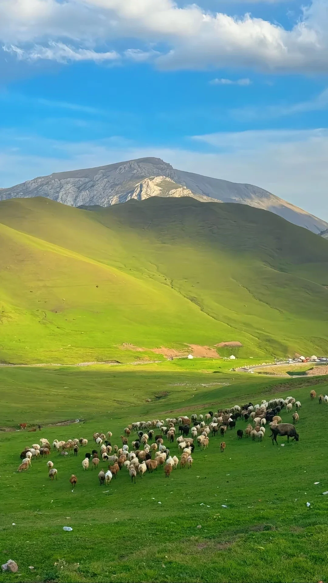 带同事去报了个新疆纯玩团被惊艳到了（无广