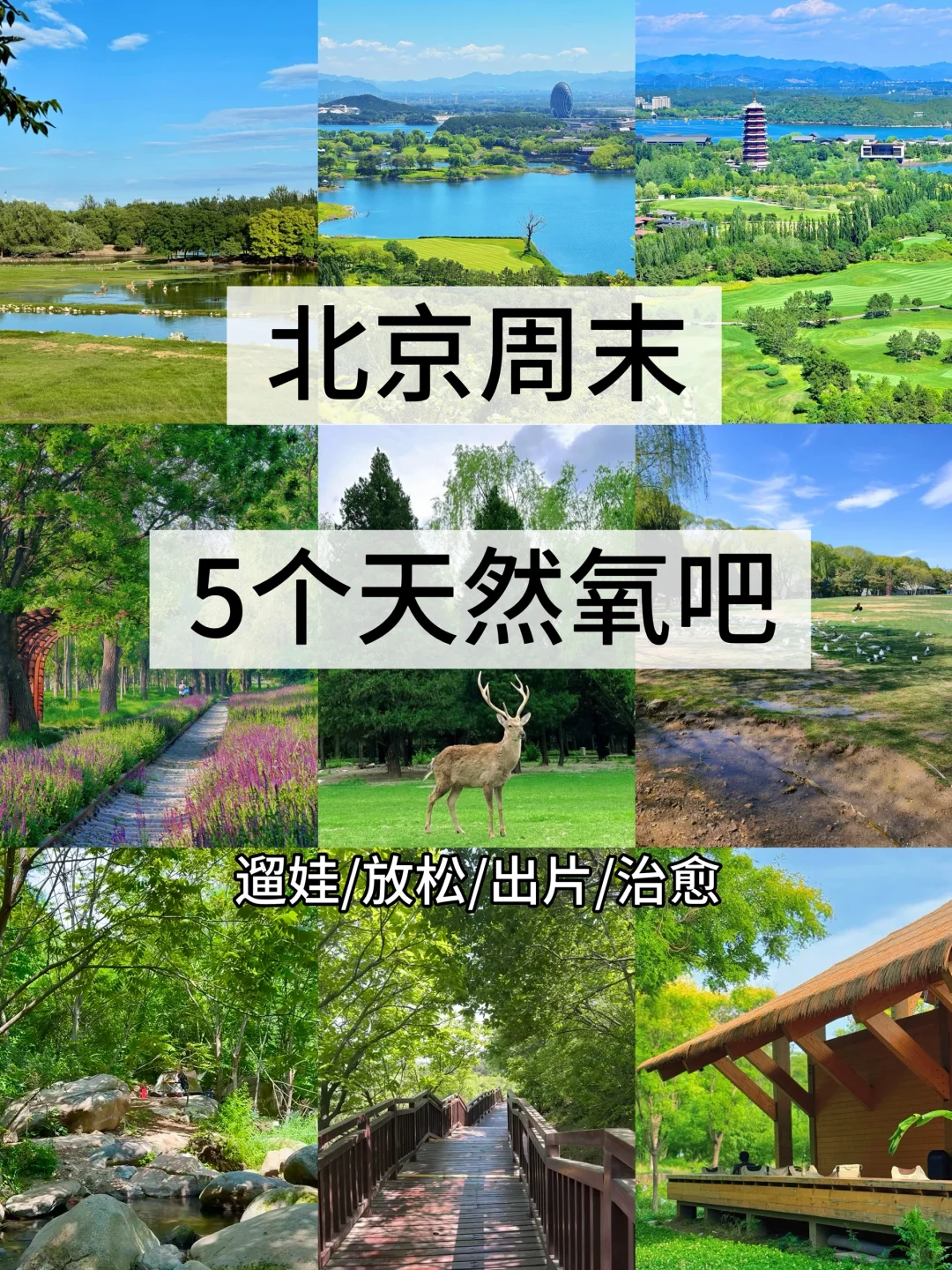 北京周末5个小众秘境｜治愈了我的精神内耗