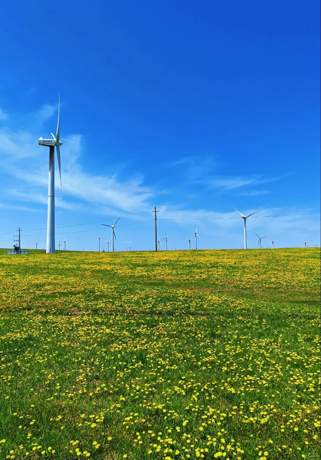 七月来乌兰察布旅游的小哥哥小姐姐们看过来