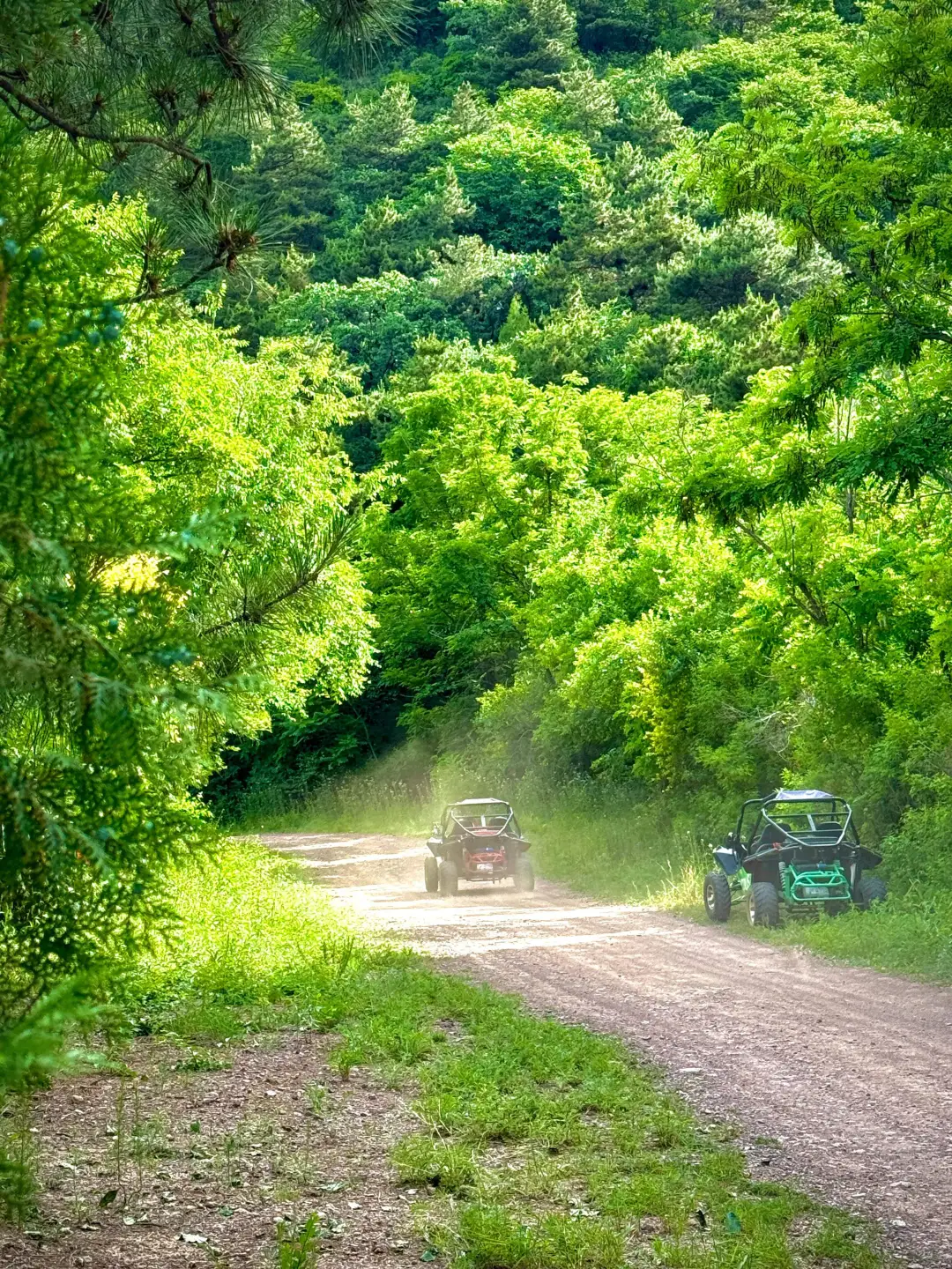 暑期溜娃 | 半壁山双景区超赞玩法✨