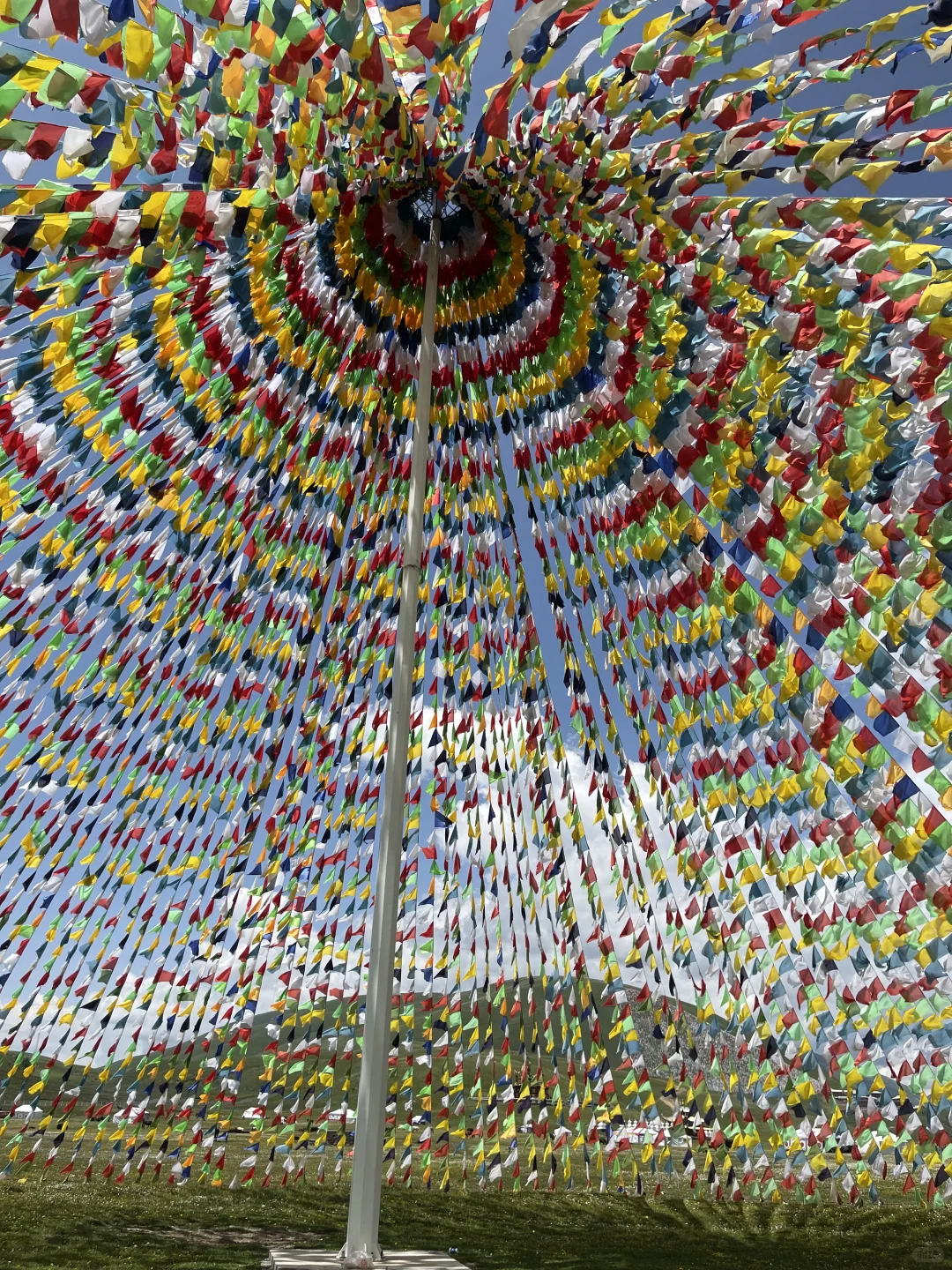 鲜为人知的旅游目的地之道孚县龙灯牧场