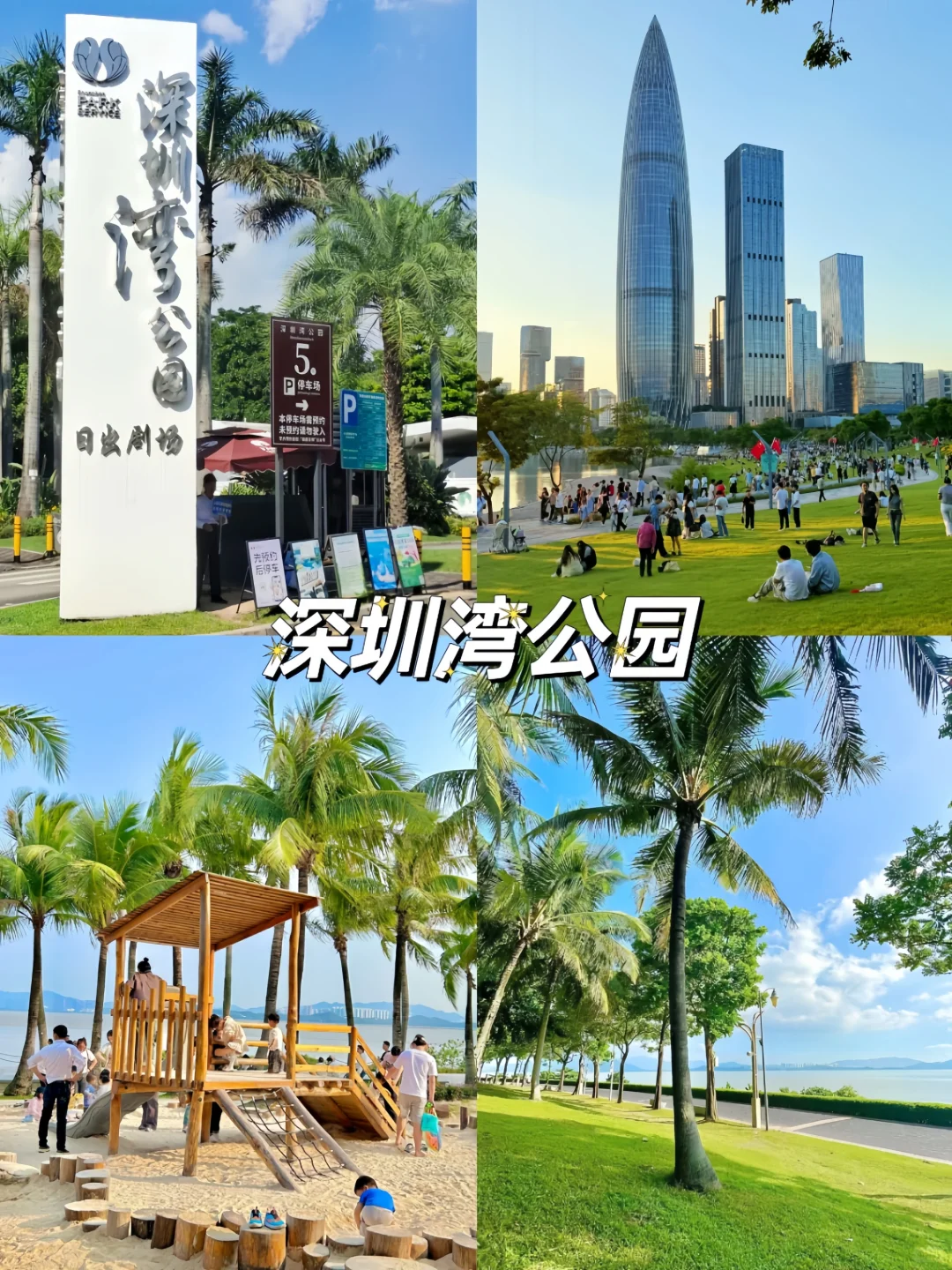 🤗深圳citywalk｜必打卡的10大景点🔥