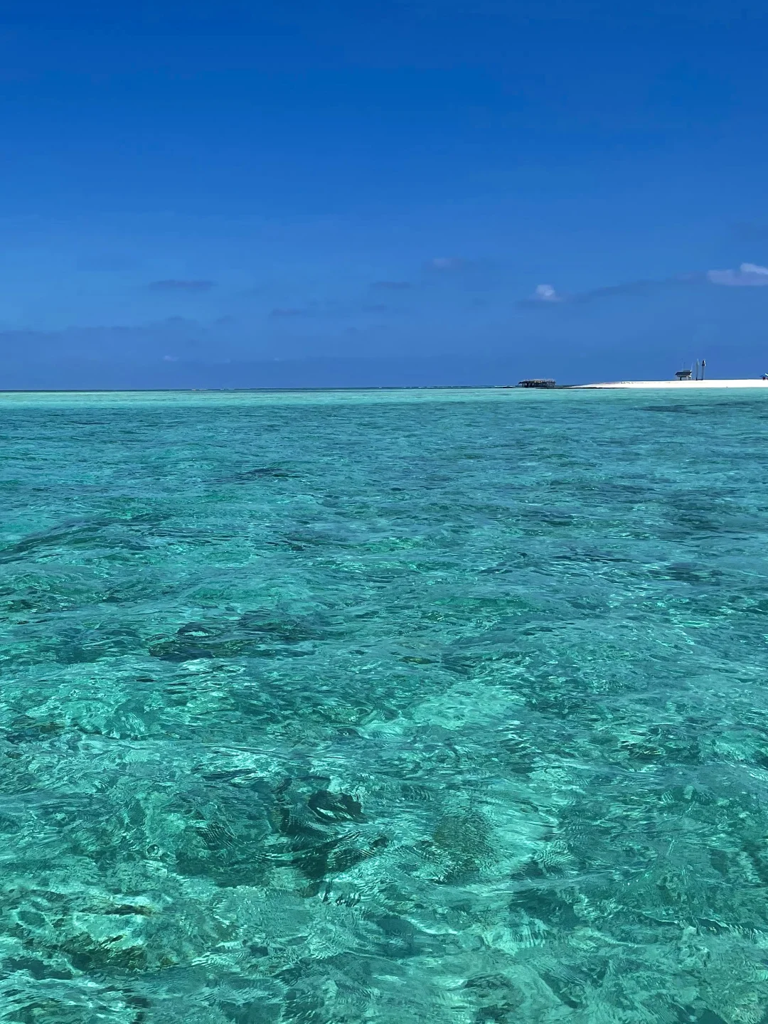 外国朋友请回避🇨🇳Only Chinese can reach