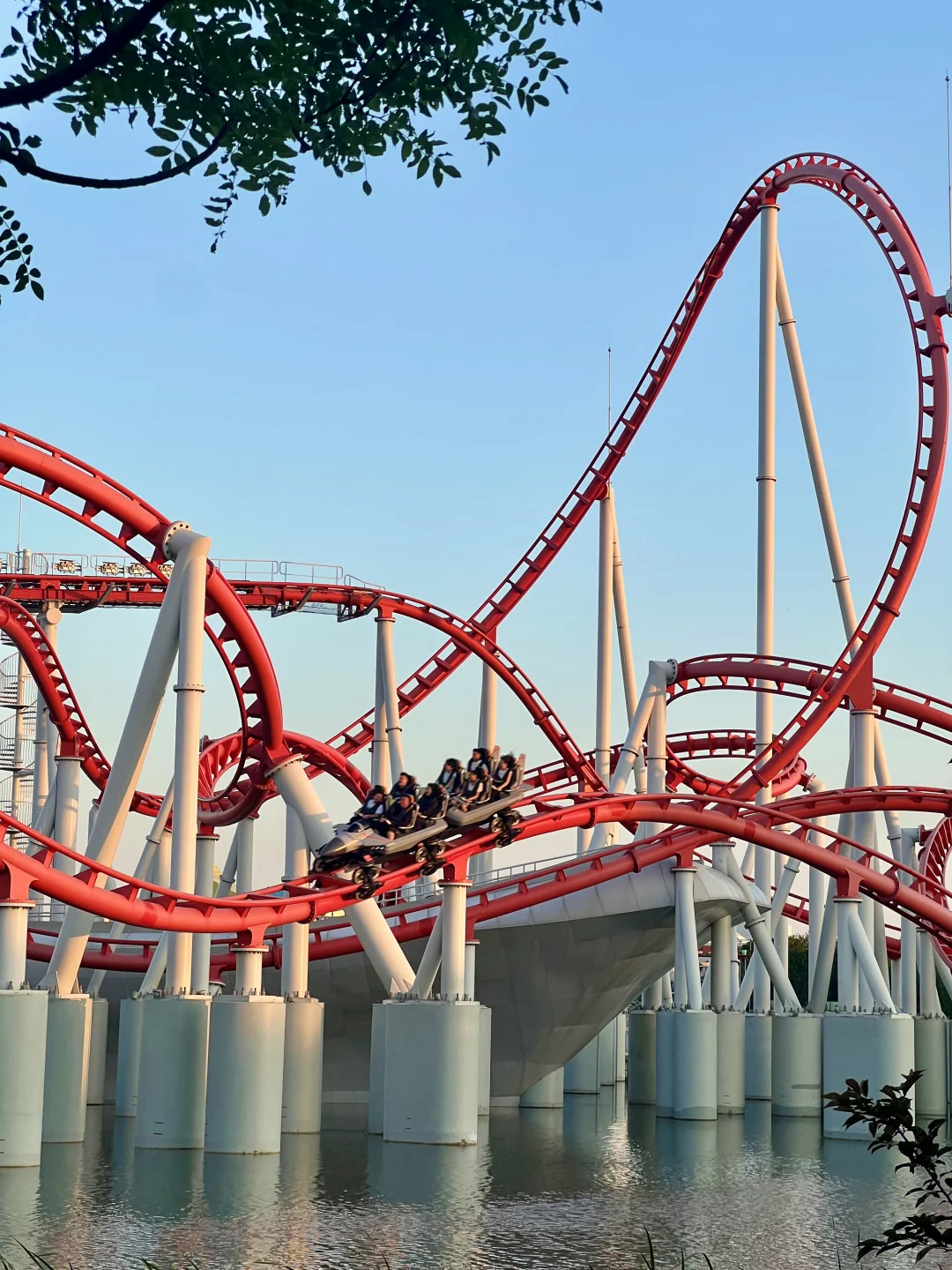 迄今为止‼️我最喜欢的山东宝藏乐园出现了