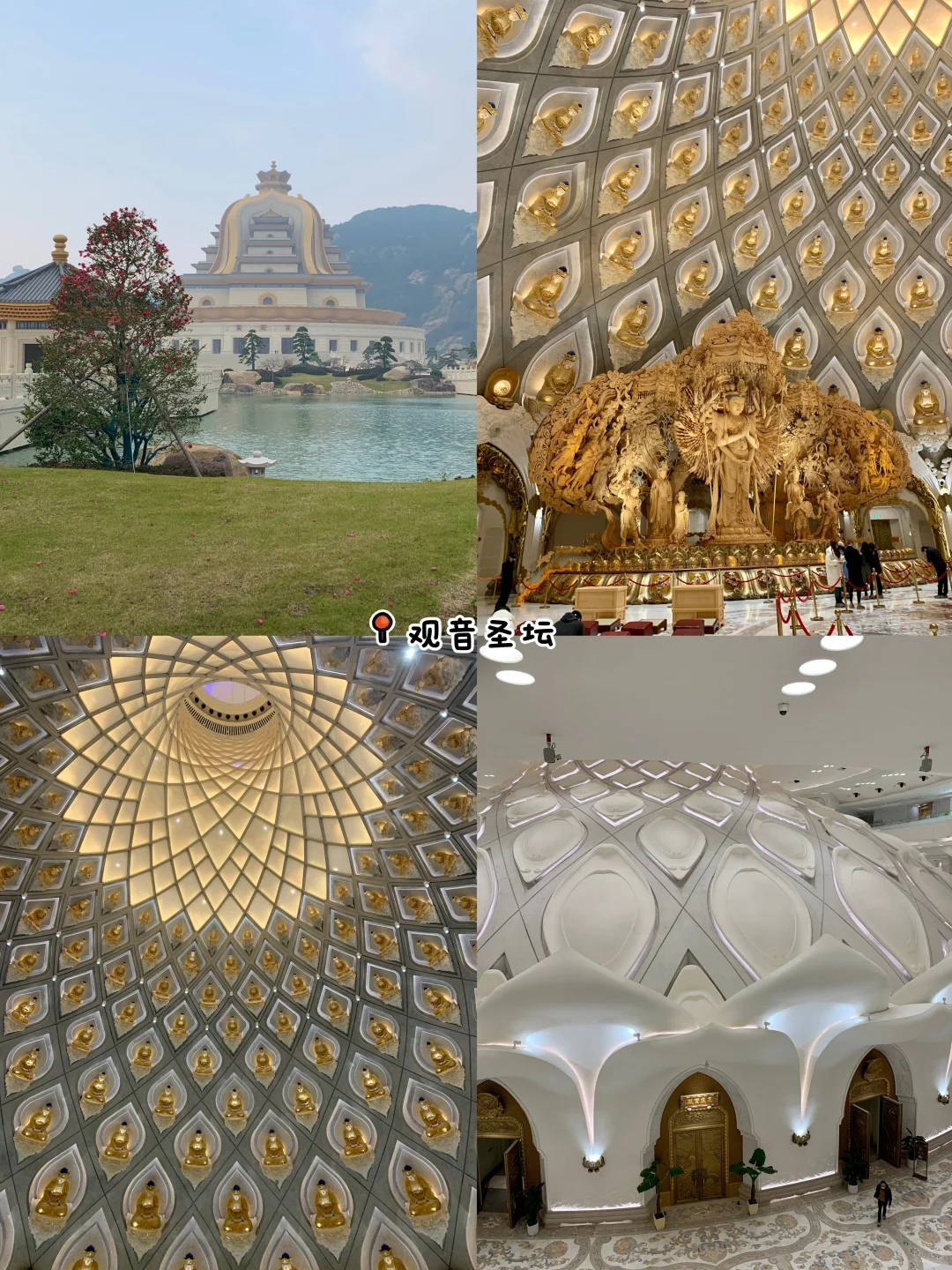 舟山土著超用心朱家尖旅游攻略🏡全大实话！