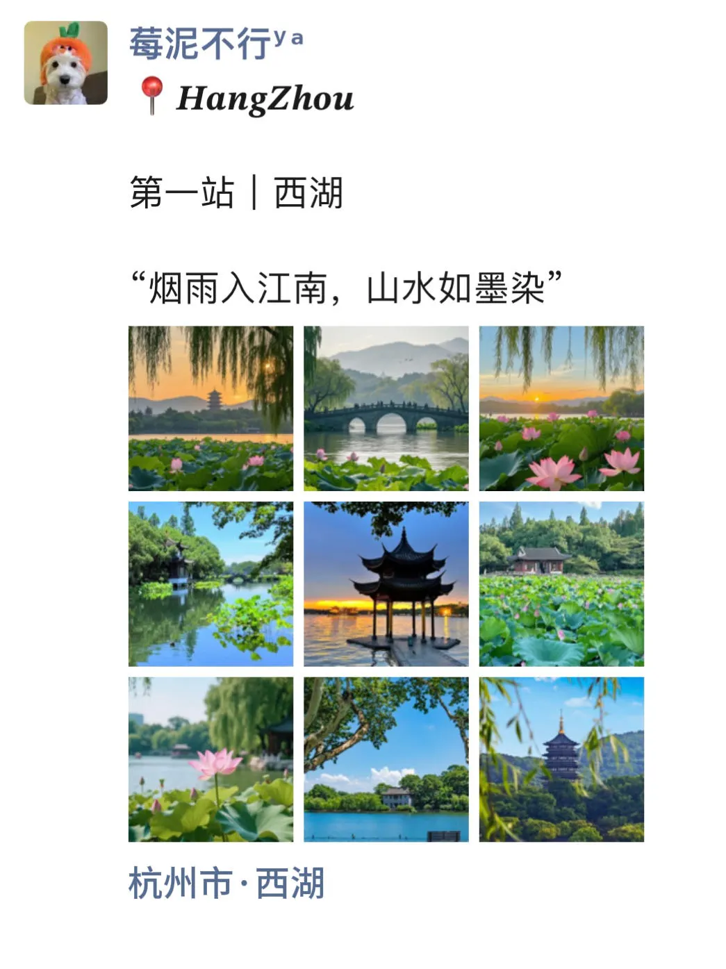 至于吗🥲这姐去杭州 发了15条朋友圈😳