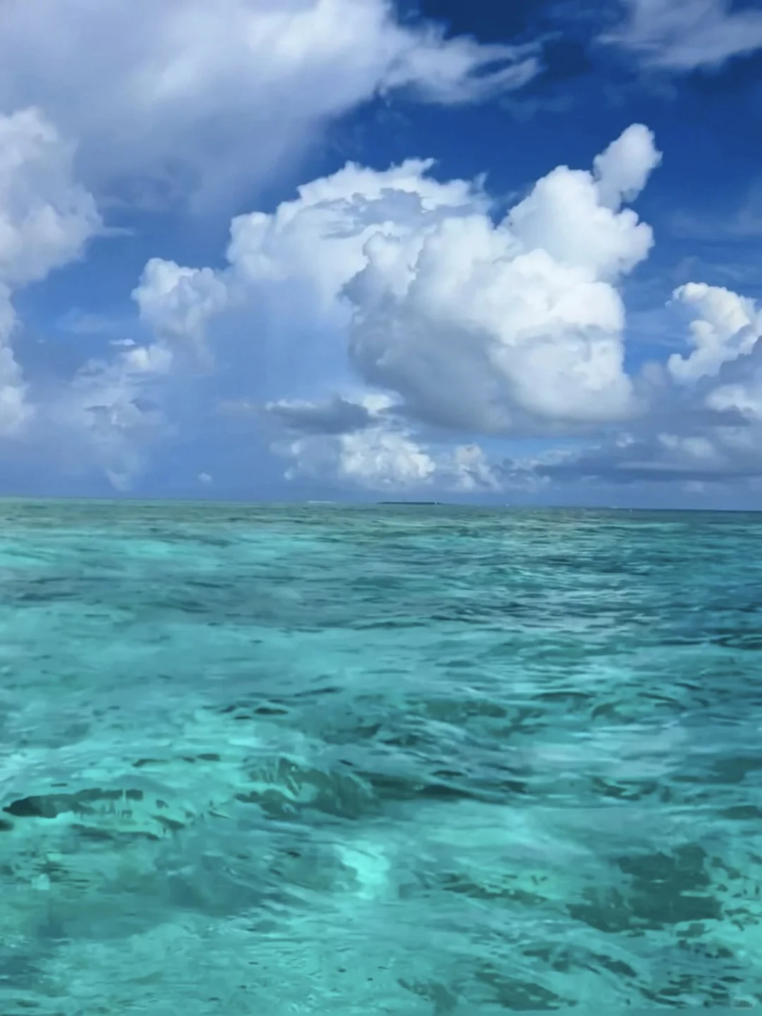 外国朋友请回避🇨🇳Only Chinese can reach